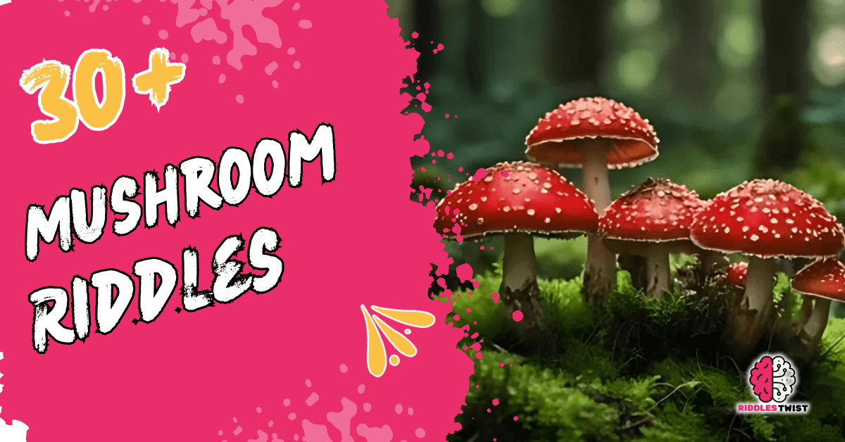 Mushroom riddles