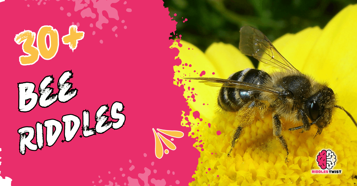 Buzz into Fun: Bee Riddles to Sting Your Brain - Riddles Twist