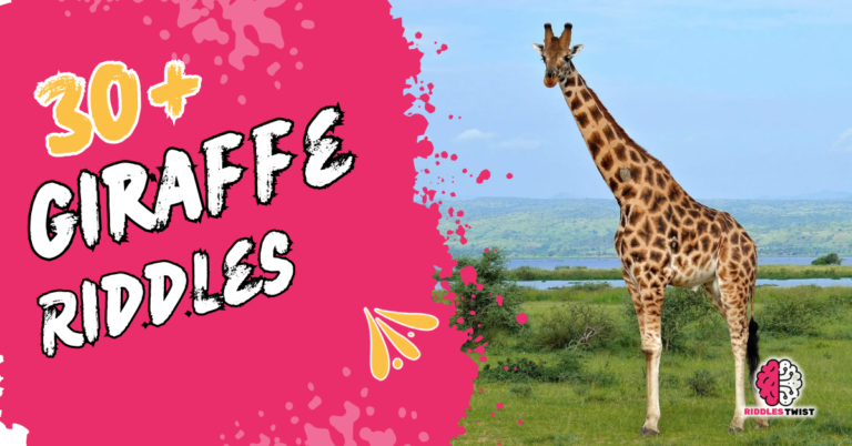 giraffe riddles