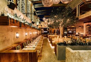 Elephante Scottsdale
