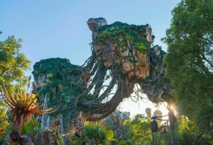 Animal Kingdom