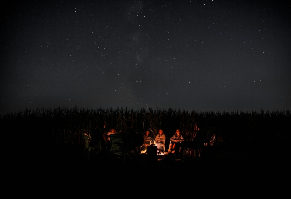 Starry Nights