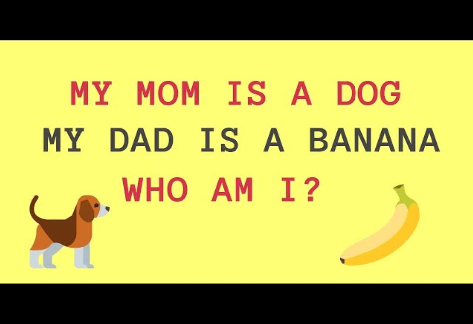 Dirty but Funny Riddles for Adults