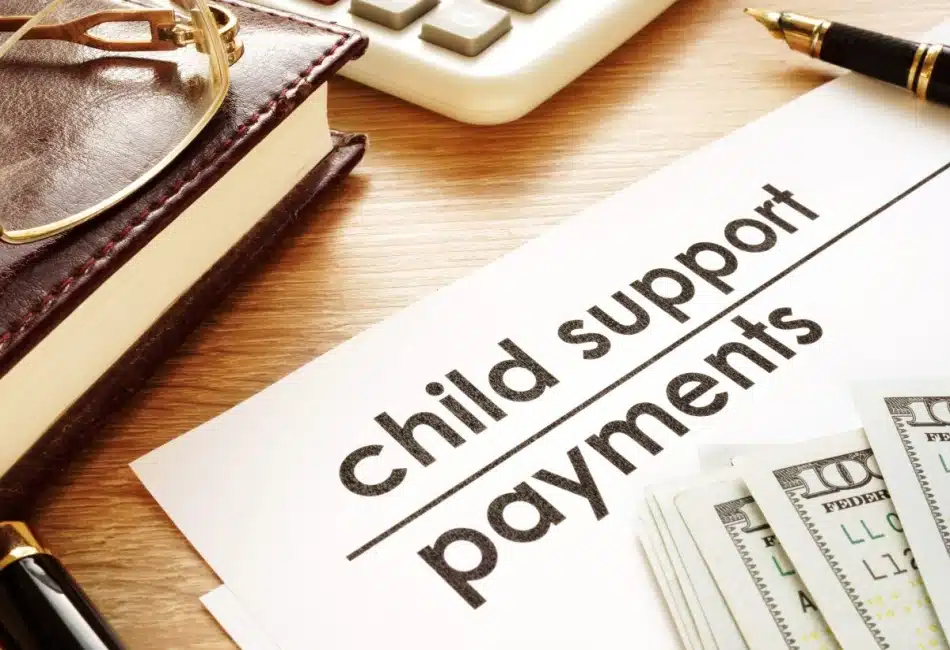 Child Support Laws
