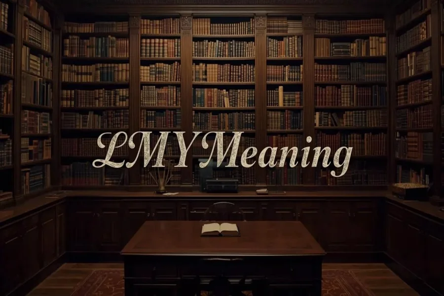 LMY Meaning